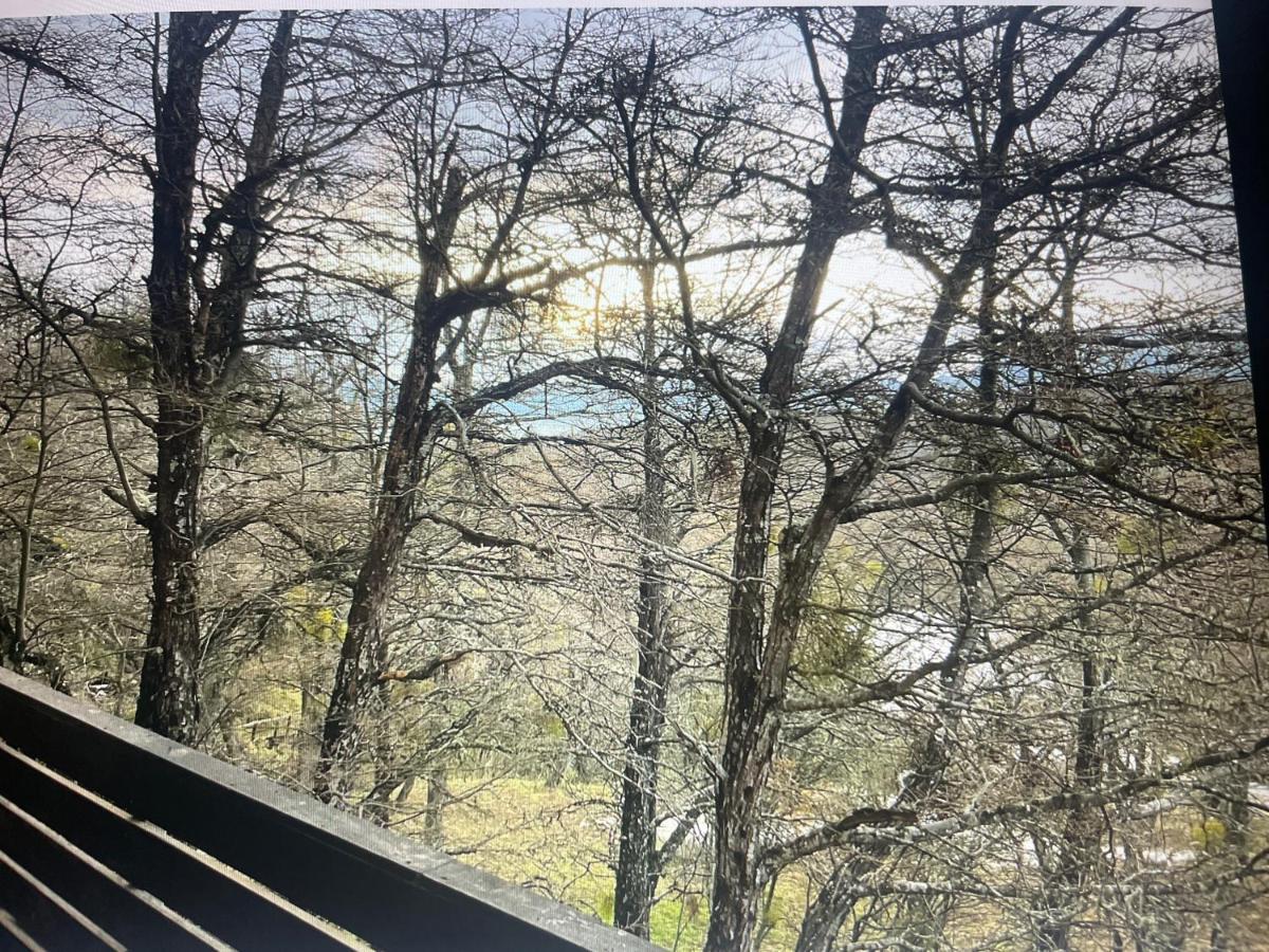 Calafate Lodge Patagonia Coyhaique Εξωτερικό φωτογραφία